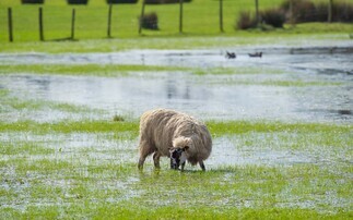 Predicted flash floods likely to cause major problems on farm 