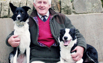 Meet the 95-year-old sheepdog trainer still succeeding at Skipton sales