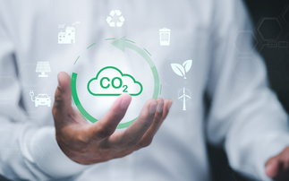 Integrity Council approves three new carbon removal methodologies