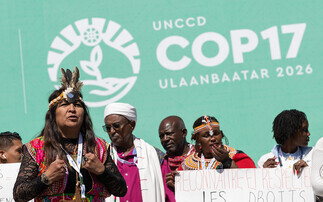 COP17: Global landmass currently under restoration accounts for just 10 per cent of national pledges