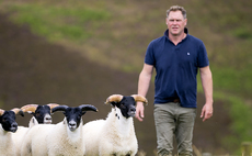 Blackface flock suited to Dumfries hill farm