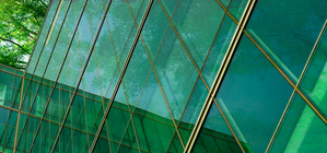 Corporate leaders are greenwashing - and they know it