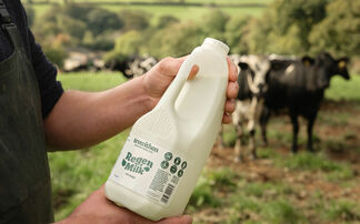 Regen special: Trewithen Dairy says 'Regen Milk is just the beginning'
