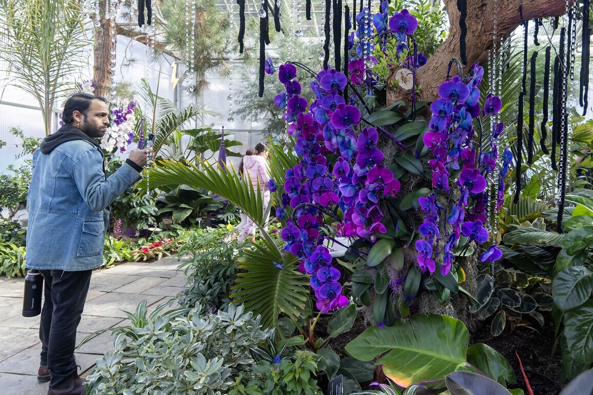 CANADA-BURLINGTON-FLORAL SHOWCASE