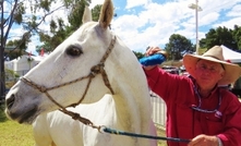 Preparing livestock, horses, pets for emergencies