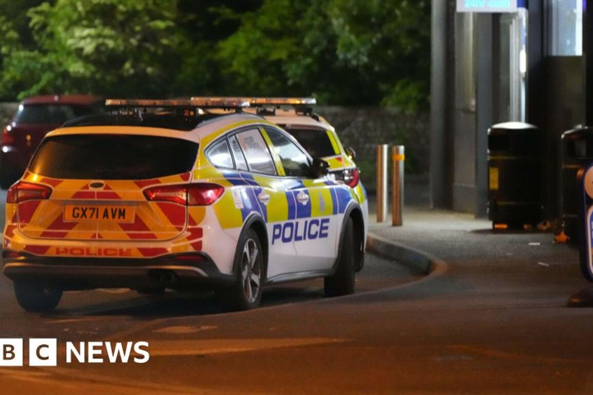 Boy suffers 'critical injury' in Bognor Regis machete attack