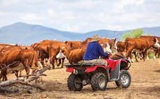 Honda quits Australian quad bike market