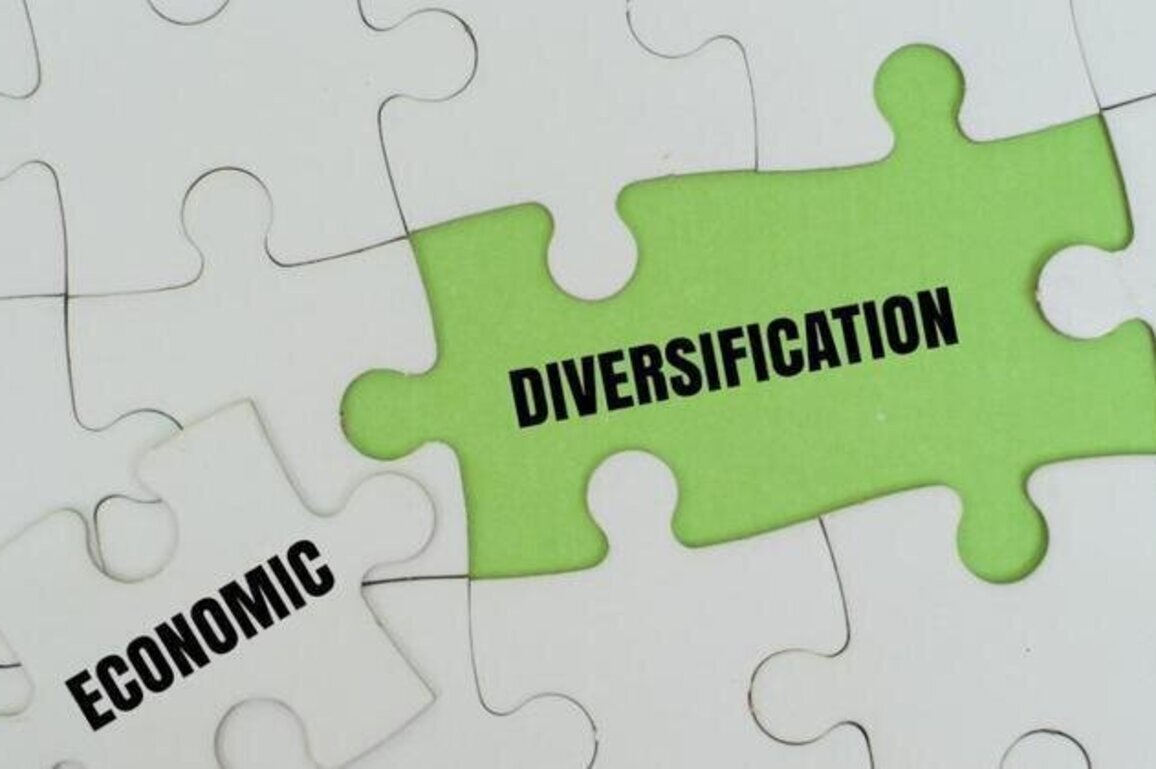 Central Africa: new "Ambassadors for economic diversification" to drive the narrative of structural transformation