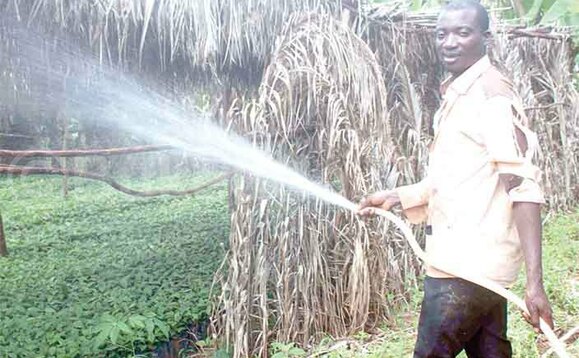 Mutale ng’afukirira nassale y’emmwaanyi Mutale ng’afukirira nassale y’emmwaanyi