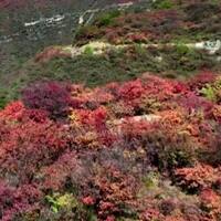 FlyOverChina | Discovering Taihang Mountain's crimson autumn