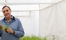 University of Sydney Plant Breeding Institute (PBI) director, Professor Richard Trethowan, has led a team which has developed a ‘biologically perfect’ system to allow large-scale creation of hybrid wheat. 