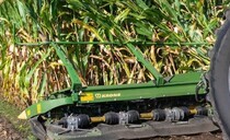 Managing European Corn Borer: Metal for maize pest