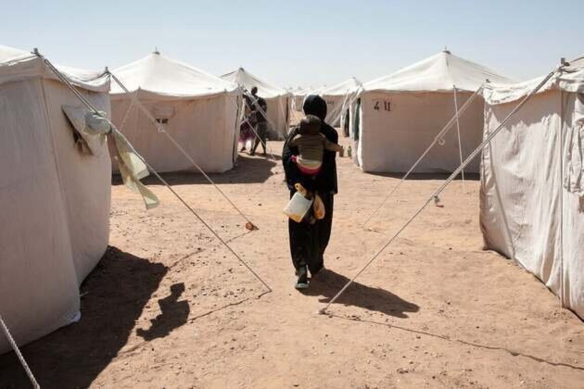 UN Body Finds 'Hallmarks of Genocide' in Darfur