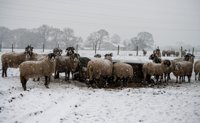 Farmers Weather: Are we going to get a White Christmas? Here are the facts