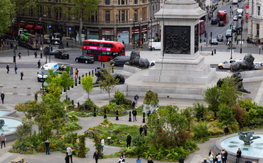 'The Big Rewild': Innocent Drinks launches national urban biodiversity initiative - Vimarsana News