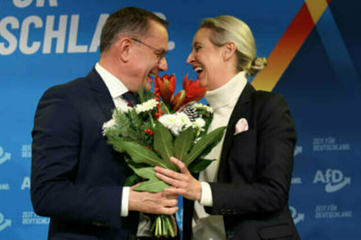 Here's why the AfD is destined for the German government