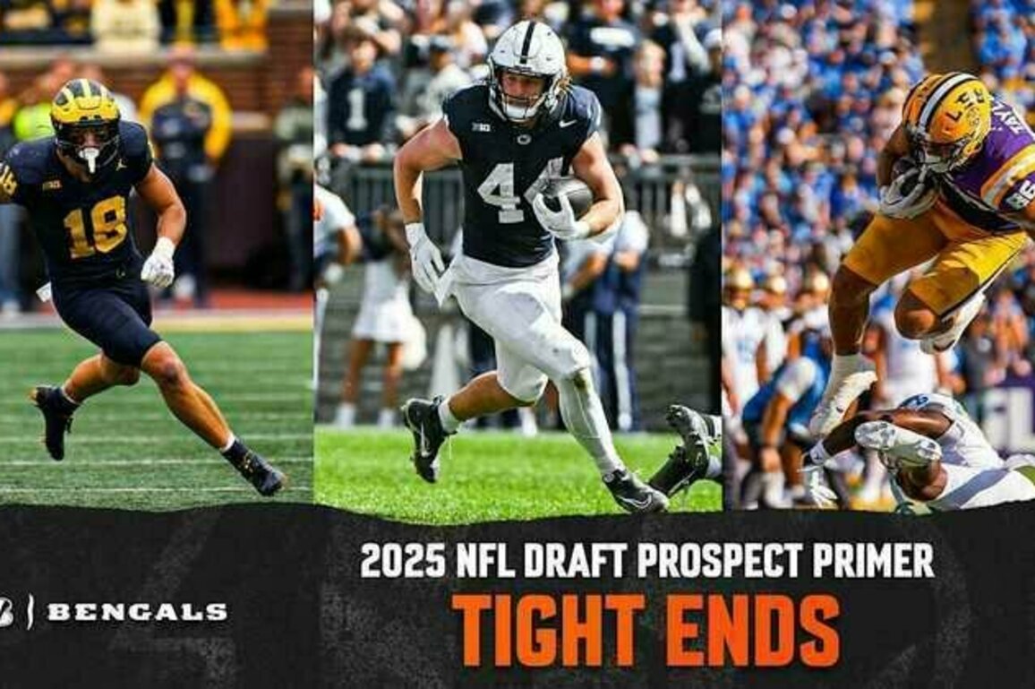 2025 NFL Draft Prospect Primer: Tight Ends