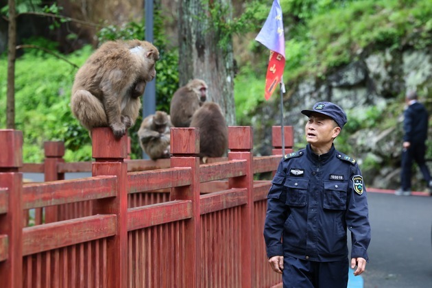 CHINA-FUJIAN-WUYISHAN NATIONAL PARK-FOREST RANGER (CN)