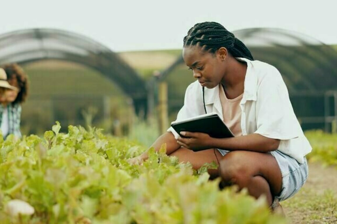 Most South African farmers are black: why Trump got it so wrong