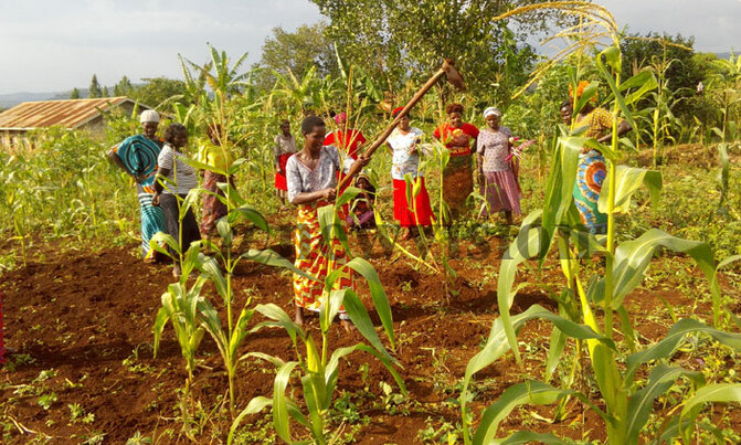 Kyankwanzi residents live in fear of evictions Kyankwanzi residents live in fear of evictions