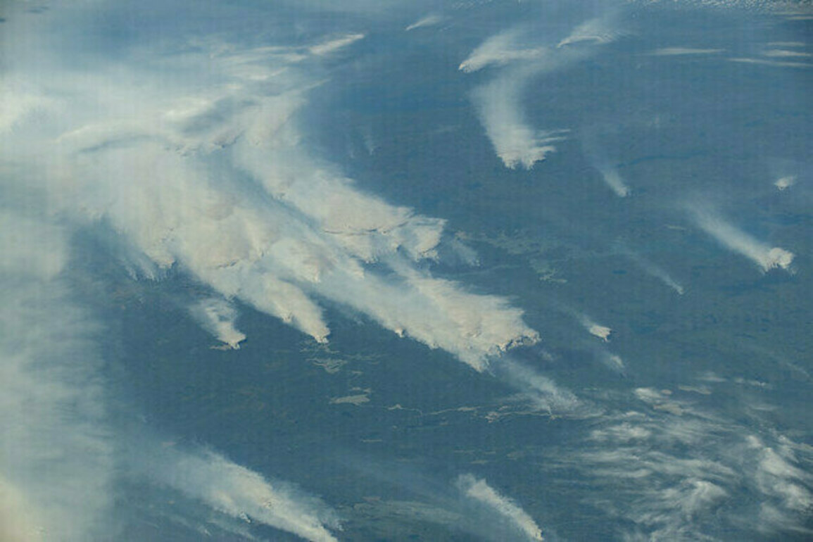 Study Estimates 2023 Canadian Wildfire Smoke Caused 82,000 Premature Deaths Globally