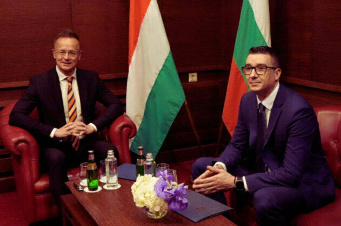 Bulgaria and Hungary Strengthen Economic Ties