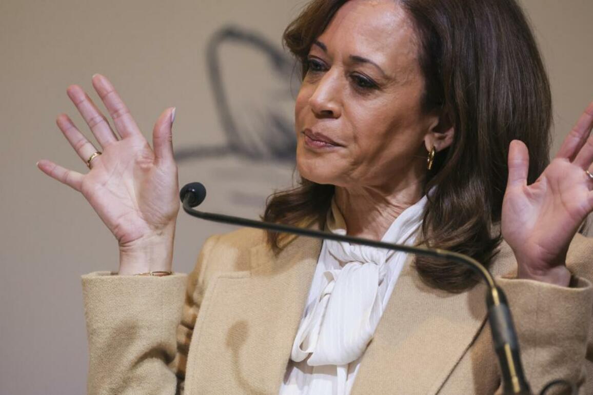 Democrats running for governor take digs at Harris' delayed decision on the race