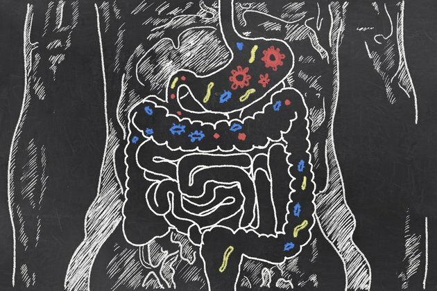 Gut microbes can be picky eaters - here&#039;s why it matters