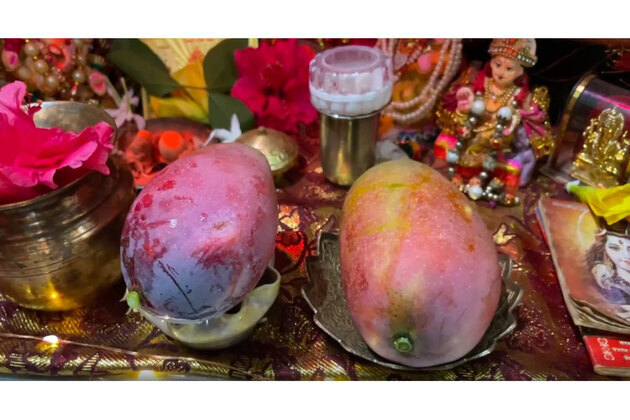 World's costliest 'Miyazaki' mango offered to Lord Ram at Ayodhya's Ram Mandir