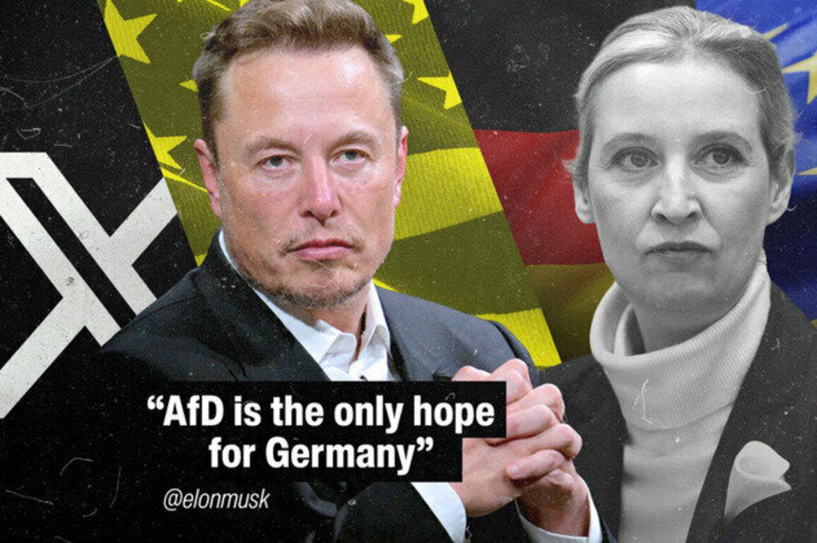 Elon Musks tweets (2/2): Raising the profile of Europes far right