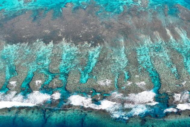 InPics | A glimpse of stunning ecological scenery in South China Sea