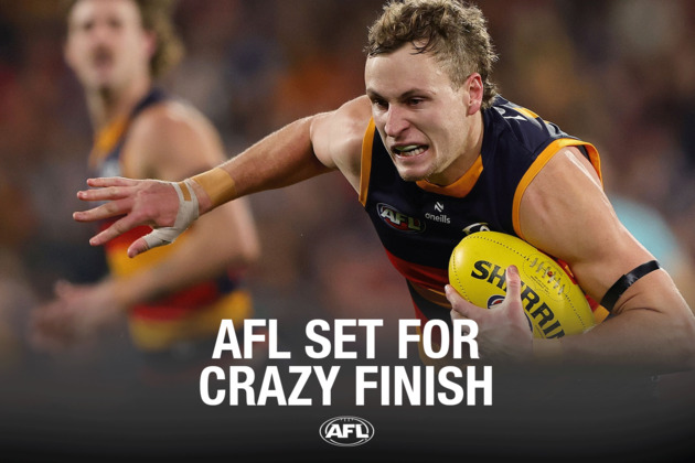 AFL set for crazy finish  AFL New Zealand