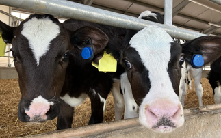 Partner Insight: Is preventative health the key to sustainable profits in farming?