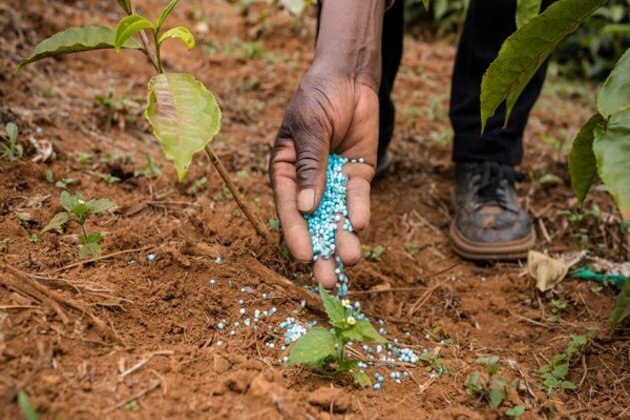 India's fertilizer subsidy bill may overshoot by Rs 40,000 crore: Crisil