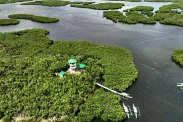 Del Carmen Mangrove Reserve headed for bigger things: CCC