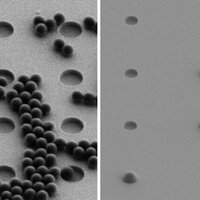 New type of 'sieve' detects the smallest pieces of plastic in the environment more easily than ever before