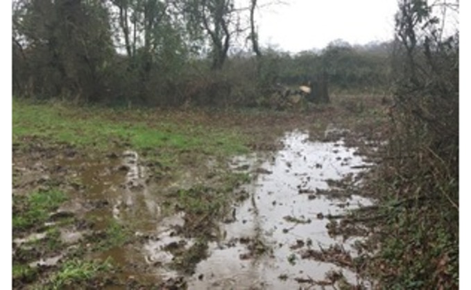 A Government officer traced slurry run-off entering a stream from Hanford Farm in Dorset 
during a 'dog walk'. (Environment Agency)