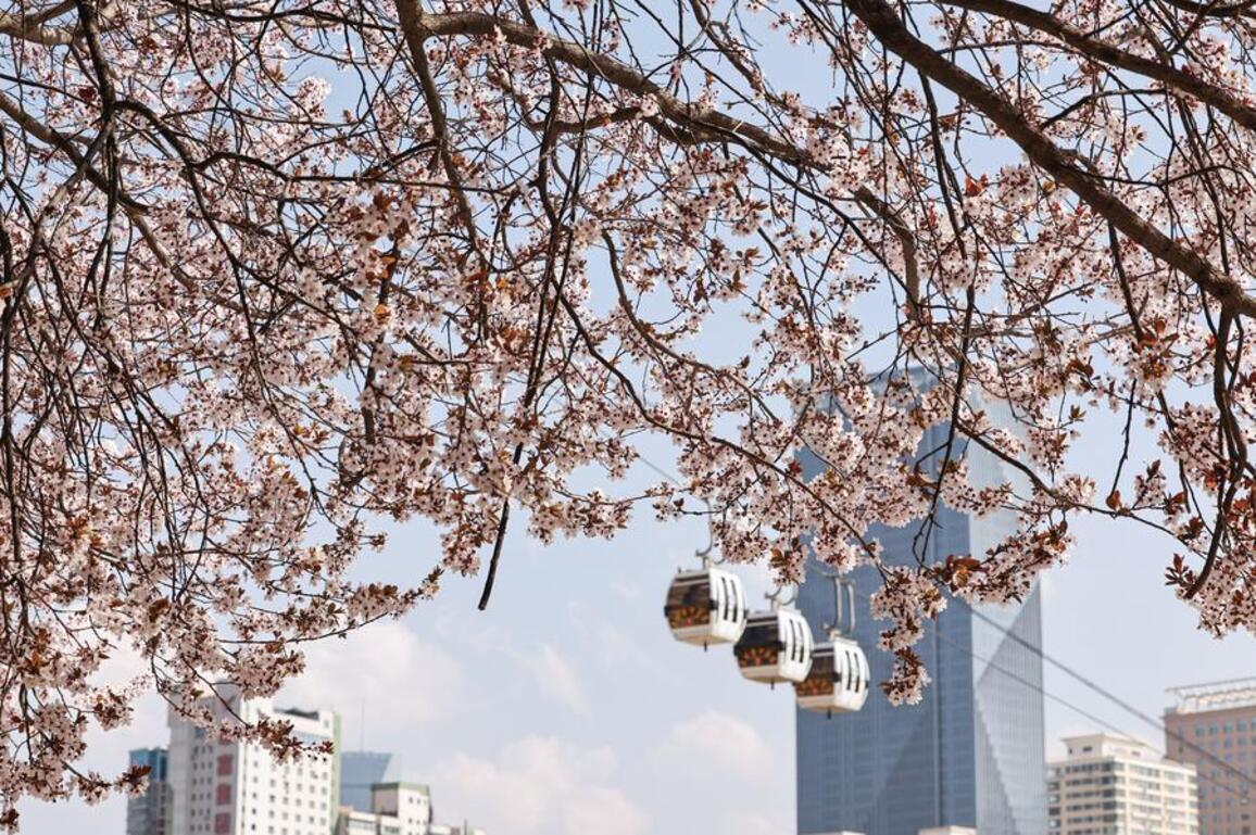 China's hospitality sector upgrade mirrors broader service industry transformation