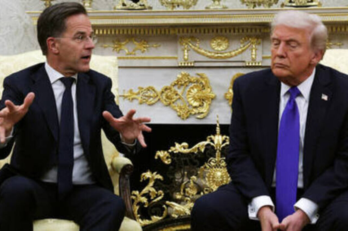 Trump's meeting with NATO chief 'went sh*t' - Politico