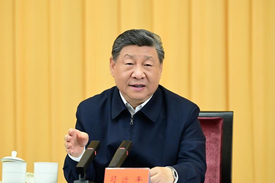 Xi Focus: Xi stresses advancing basic research to solidify foundation for building China's strength in science, technology