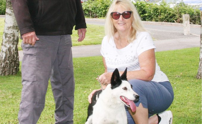 Barbara Meek with Bronallt Gem which sold for 10,000gns