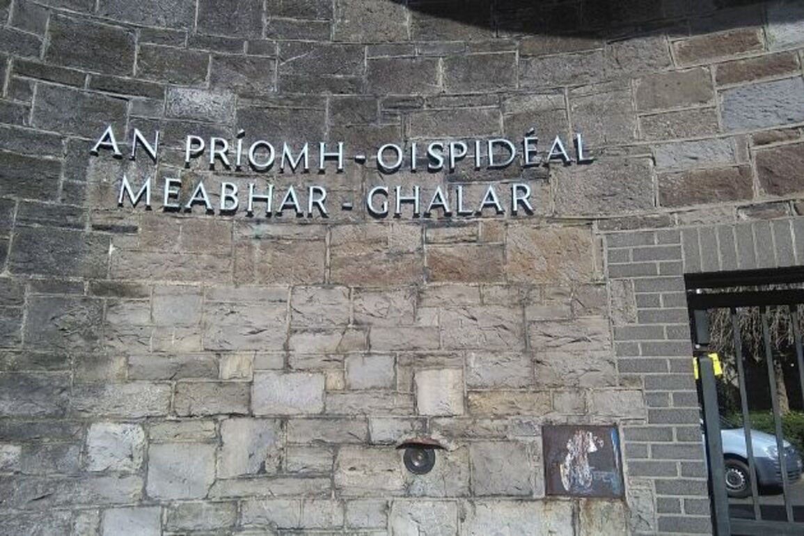 Four patients deemed unfit for trial freed from Dublin mental facility