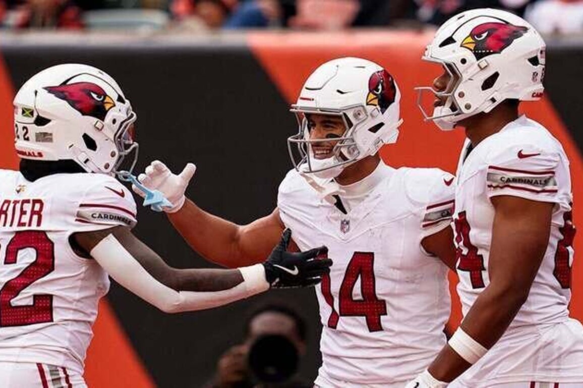 Cardinals Playing For Pride, Records, Victory In Season Finale