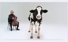 Should the UK ban plant-based produce from using 'meaty' language? Diving into the world of plant-based advertising