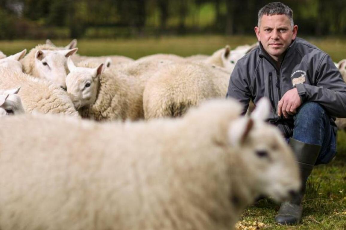 Farming unions warn of 'growing crisis' of uncontrolled dogs