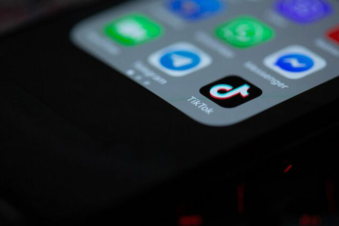 High Court backs TikTok’s legal bid against Ireland’s data watchdog