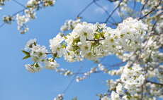 The year that was 2010: Greek debt and green shoots