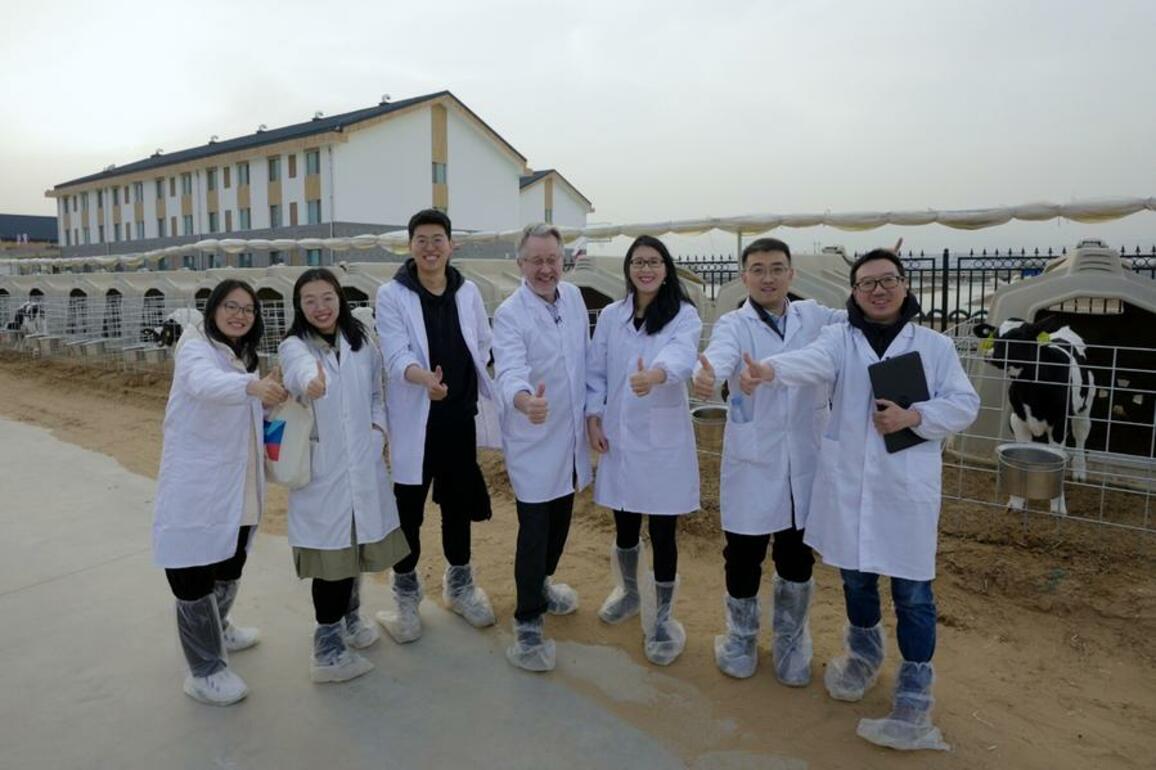 From Wageningen to Inner Mongolia: Dutch expert reflects on decade of innovation in China's dairy industry