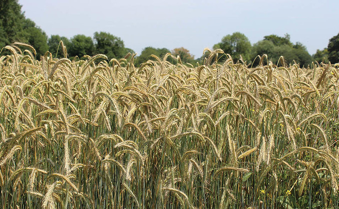 CAAV adviser Jeremy Moody has warned UK crops could be deemed 'illegal' under the SPS agreement