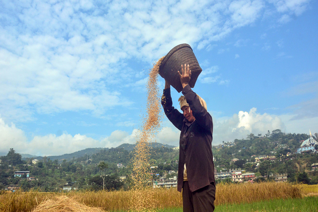 APEDA facilitates first export of fortified rice kernel from Chhattisgarh to Costa Rica